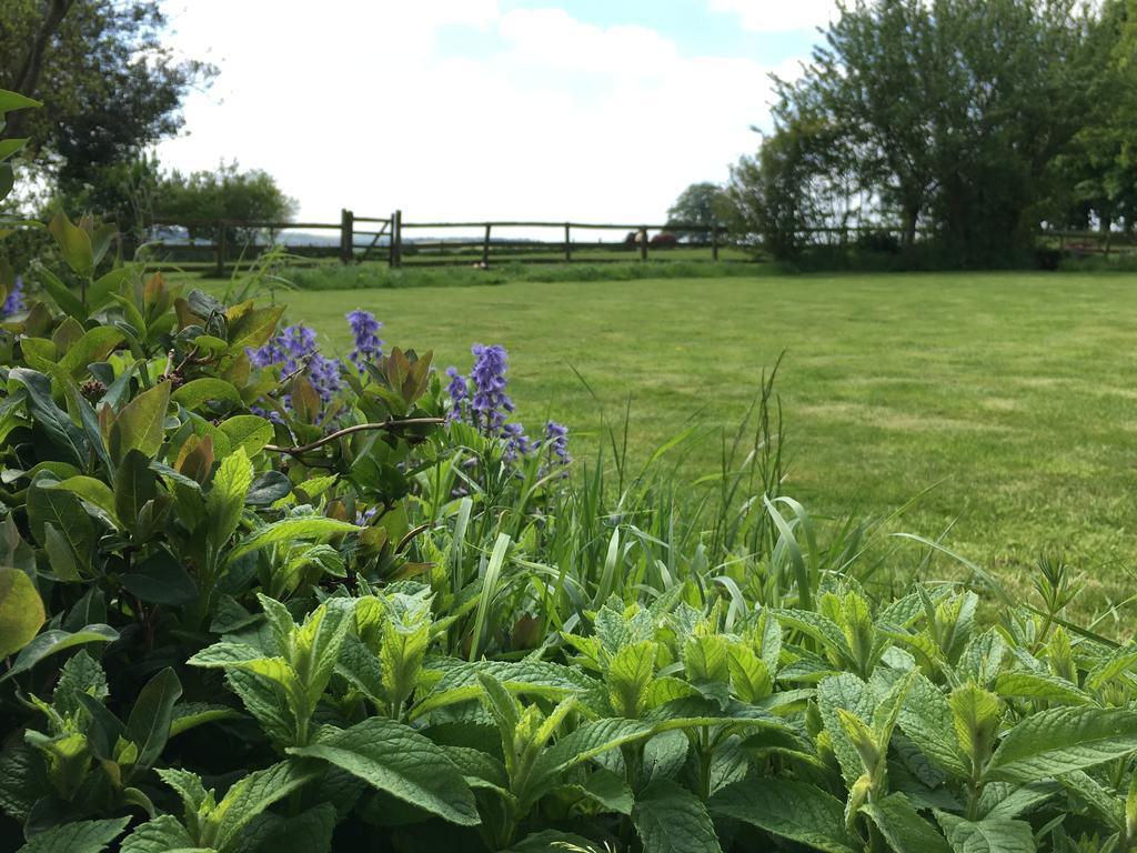 مبيت وإفطار Lower Brailes Cotswolds Mine Hill House المظهر الخارجي الصورة